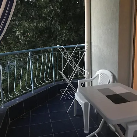Violet Garden ساني بيتش